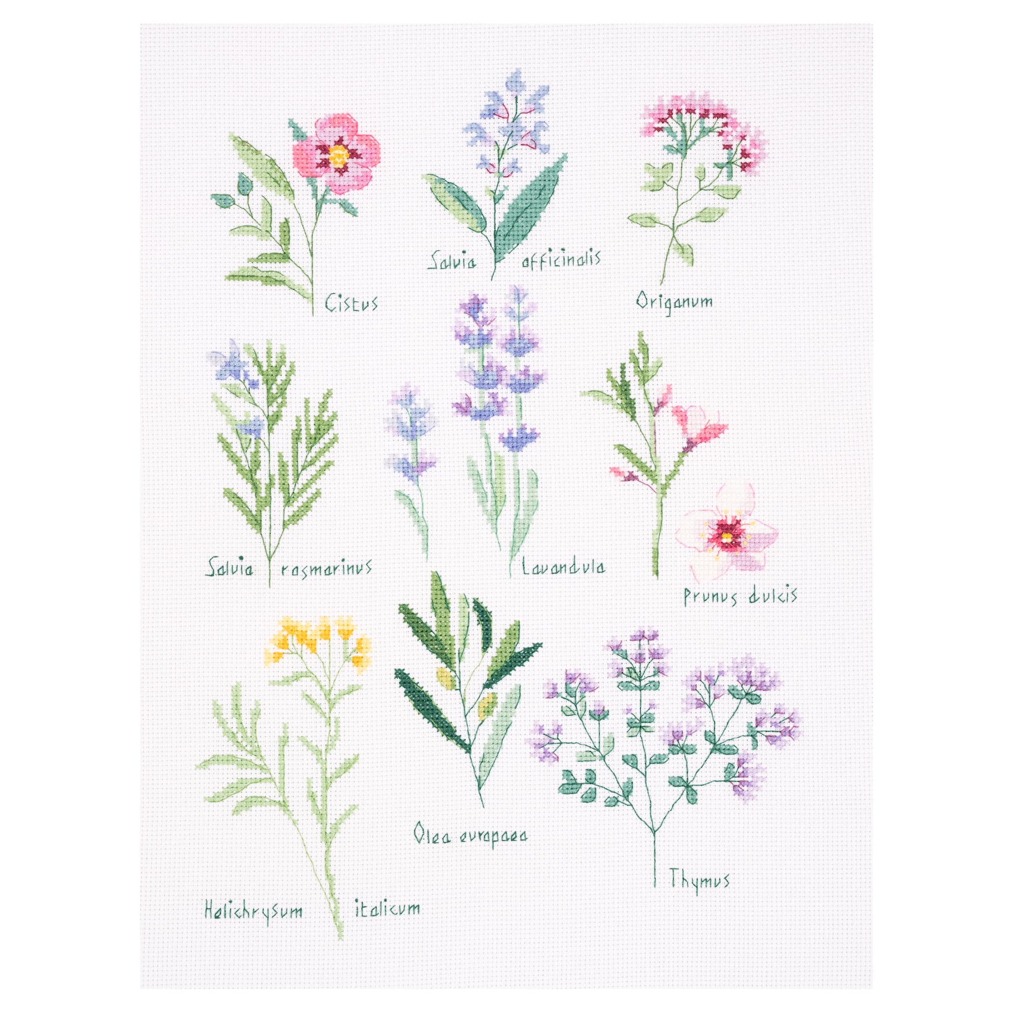 DMC® Herbs Intermediate Counted Cross Stitch Kit